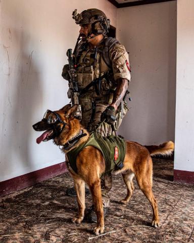 K-9 Lenny in action overseas with the US Army Special Forces