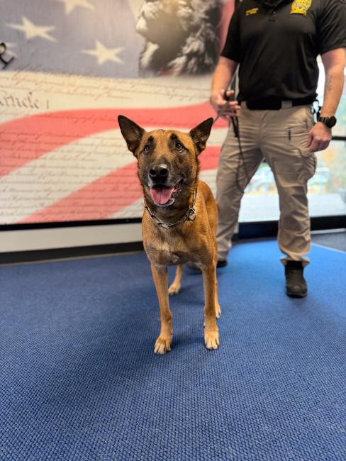 K-9 Lenny enjoying retirement 